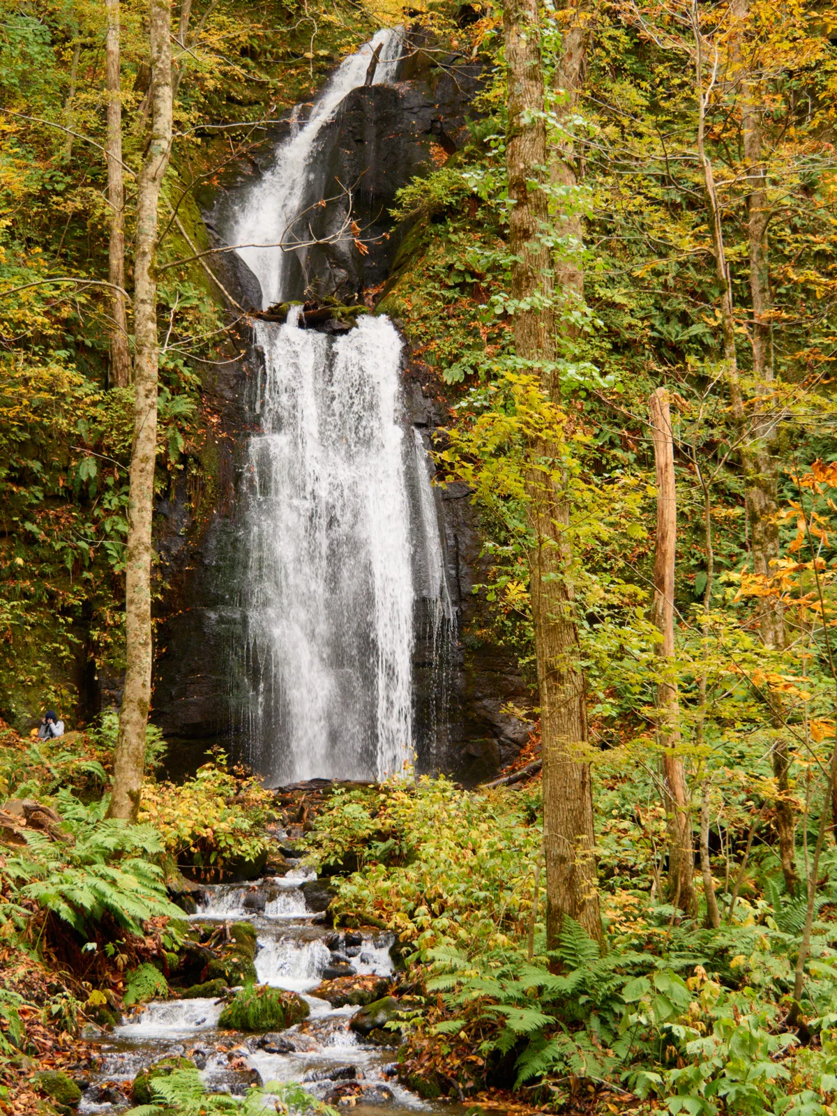 Tohoku Itinerary 2026: Year-Round 5- and 7-Day Trips and Autumn Routes Kumoi Falls and autumn foliage in Oirase, historical October 27, 2025 photograph, not live conditions