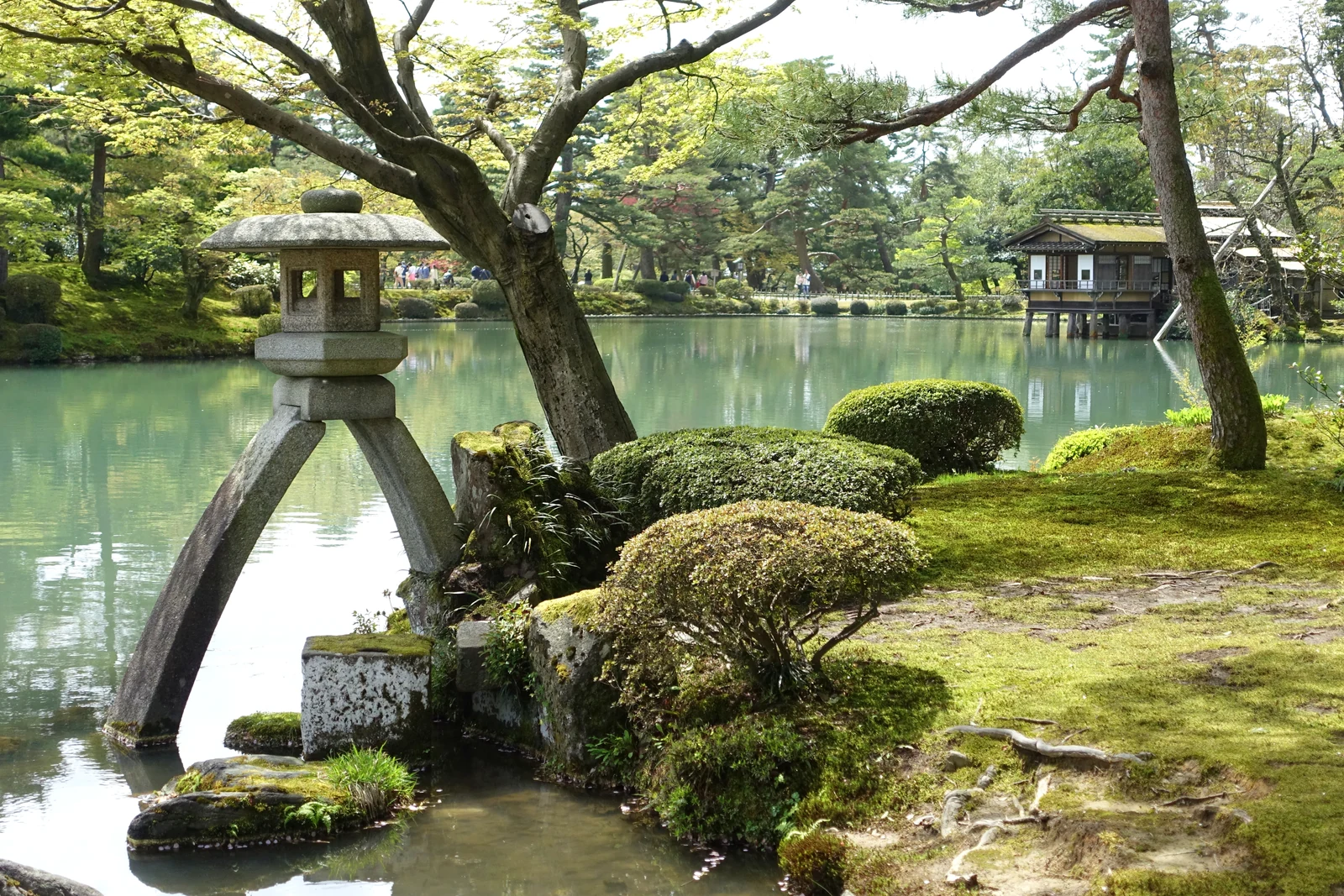 Kotoji-toro stone lantern beside Kasumigaike Pond and green trees in Kenrokuen, Kanazawa