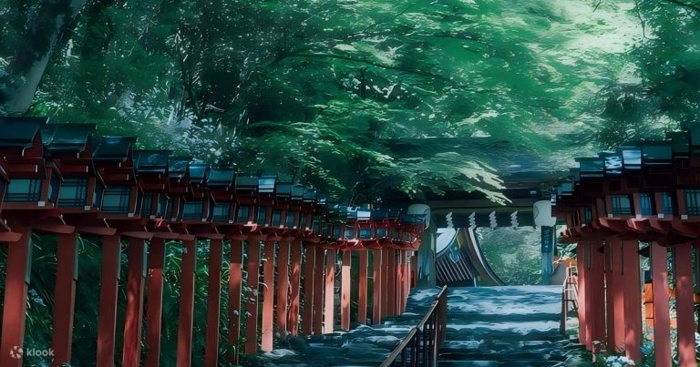 Kyoto Kifune Shrine & Sanzen-in Temple Day Trip