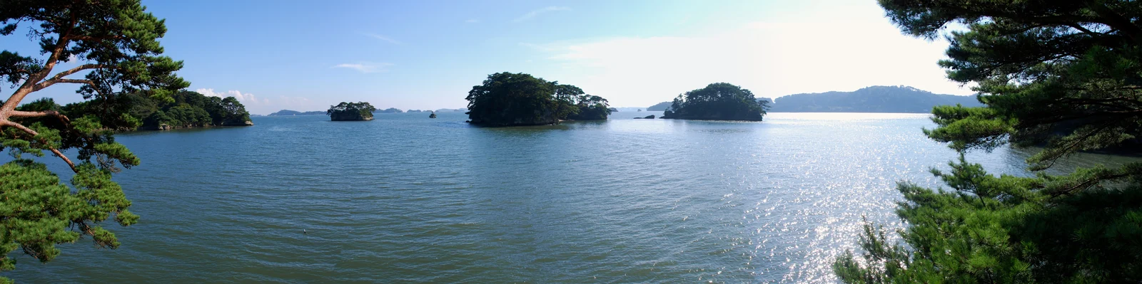 2010年松島灣松樹島嶼全景，前景有松枝